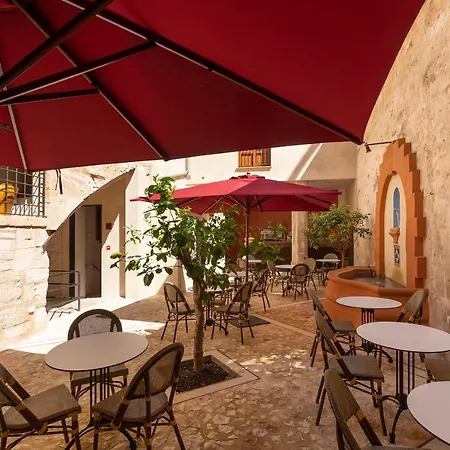 Cirera Palma de Mallorca