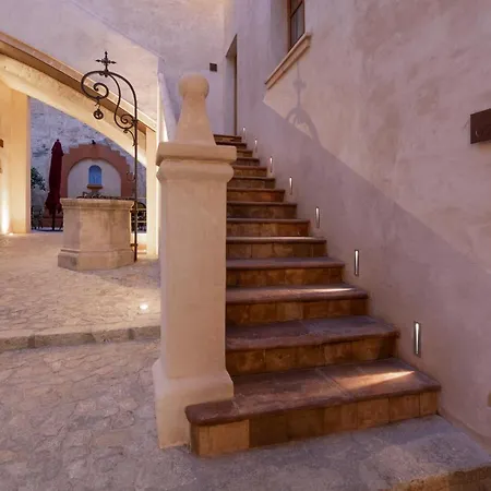 Cirera Palma de Mallorca